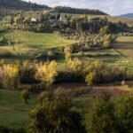 Serra Yılmaz Instagram - Evet yeni bir Piano Piano Toscana turumuz başlıyor çok yakında, yine güzelim Toscana’nın enfes şaraplarının üretildiği Chianti bölgesinde gezeceğiz tozacağız, güzel yemekler yiyip, şarkılar söyleyerek keyif yapacağız ve de en hoşu Toscana’da çekilmiş filmlerin izini süreceğiz. Bir iki tane odamız boşaldı eğer içinizde “Tüh nasıl kaçırdım bu turu?!” diyen sinefil gezgin varsa, bekleriz… @pianopianotoscana profilinde tüm ayrıntıları bulabilirsiniz. #bellatoscana #chianti #pianopianotoscana #toskanadansevgilerle #italyanfilmleri