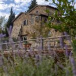 Serra Yılmaz Instagram - Evet yeni bir Piano Piano Toscana turumuz başlıyor çok yakında, yine güzelim Toscana’nın enfes şaraplarının üretildiği Chianti bölgesinde gezeceğiz tozacağız, güzel yemekler yiyip, şarkılar söyleyerek keyif yapacağız ve de en hoşu Toscana’da çekilmiş filmlerin izini süreceğiz. Bir iki tane odamız boşaldı eğer içinizde “Tüh nasıl kaçırdım bu turu?!” diyen sinefil gezgin varsa, bekleriz… @pianopianotoscana profilinde tüm ayrıntıları bulabilirsiniz. #bellatoscana #chianti #pianopianotoscana #toskanadansevgilerle #italyanfilmleri