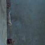 Setare Eskandari Instagram - انتشار نسخه ویژه نابینایان فیلم سینمایی خانه دوست کجاست با صدای ستاره اسکندری   ستاره اسکندری فیلم سینمایی «خانه دوست کجاست» ساخته عباس کیارستمی را برای نابینایان توضیح‌دار کرد.   به گزارش روابط عمومی سوینا، این گروه نسخه ویژه نابینایان فیلم سینمایی «خانه دوست کجاست» ساخته عباس کیارستمی را روز پنجشنبه هجدهم دی ماه در چارچوب برنامه فیلمخانه منتشر می‌کند. این فیلم روز پنجشنبه ساعت ۱۹ از رادیو سوینا پخش می‌شود و پس از آن، روی سایت سوینا در دسترس مخاطبان قرار می‌گیرد. نظارت متن و ضبط این برنامه به عهده کیوان کثیریان بوده، متن روایت این فیلم را محدثه واعظی‌پور نوشته و در استودیو فراز ضبط و میکس شده است. علاقمندان می‌توانند با مراجعه به پایگاه اینترنتی سوینا به نشانی www.sevinagroup.com به فایل صوتی فیلم‌های سینمایی توضیح‌دار دسترسی داشته باشند. این گروه پیشتر نسخه توضیح‌دار فیلم‌های سینمایی ایرانی «روز واقعه» با صدای افشین زی‌نوری، «دلشدگان» با صدای شبنم مقدمی، «مادر» با صدای احترام برومند، «بنفشه آفریقایی» با صدای علیرضا شجاع‌نوری و «باشو غریبه کوچک» با صدای پریناز ایزدیار را در قالب برنامه فیلمخانه منتشر کرده است. سوینا را در نشانی‌های اینترنتی زیر پی‌گیری کنید: www.sevinagroup.com www.aparat.com/sevinagroup www.instagram.com/sevinagroup T.me/sevinagroup T.me/radio_sevina https://www.youtube.com/channel/UCs2-CtvQ8W3YZ2M7Xy8DQHQ https://twitter.com/sevinagroup @setareheskandari @gelarehabbasi @kkasirian @farazstudio ساخت تیزر: افشین ضیائیان #سوینا #سینمای_نابینایان #گروه_سوینا #sevinagroup #فیلم_صوتی #گلاره_عباسی #فیلمخانه #خانه_دوست_کجاست  #عباس_کیارستمی #ستاره_اسکندری  #فیلم_سینمایی #سینما  #فیلم_سینمایی_توضیحدار