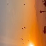 Shadi Mokhtari Instagram - • /طـلـوع 🌄/ خیره نشسته‌ام به تماشا... چِشامو می‌بندم، /غـروب 🌇/ چِشامو باز می‌کنم، اون وسط انتظار می‌کشم. انتظارِ چی ؟ نمی‌دونم! امّا فقط می‌خواستم غروب نکند. آفـتاب ، روشـنی، اُمیـد… آدم‌هایِ مُنتظر خیره می‌شن... اول به دور‌دست‌ها، اُمیدشان که کمرنگ شد، به جایی در نزدیکی خود... پ.ن: تمرینِ صبوری و تماشا و درکِ لذّتِ آهستگی با هربار دیدنِ طلوع و‌ غروبِ خورشید… / جُمعه_۱۹ آبانِ ۱۴۰۲_ تهـران/ . Music: ‏Autumn Day by Ólafur Arnalds on Another Happy Day . 🎥: recorded by Me