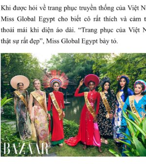 Shafina Shah Instagram - I really enjoyed our visit with @missglobalofficial to the beautiful @nguyenart.gallery 
Wearing designer wear by @chauloan89 

Thank you ❤️🙏🏽
.
.
.

#vietnam🇻🇳 #vietnamtravel #vietnamesegirl #vietnamesedress #missglobal #pakhtoon #shafinashah #misspakistan #shafinapatelshah #desigirl #vietnam #pageantwinner #titleholder #missglobal2023 #pakistanimodel #indianmodel #bollywoodactress #missglobalpakistan #gratitude #motivationalwomen #missmissions #pathan  #misscongeniality #animalactress #hochiminh