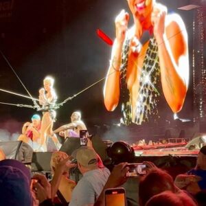 Shamari DeVoe Instagram - Y’all artist need to throw them hats up in the air if you wanna square up with P!NK
She’s the greatest of all time!!! 🏆