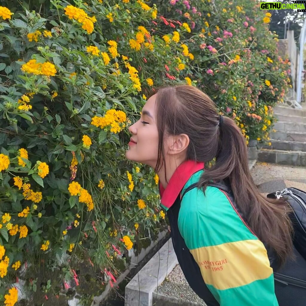 Shanice Margaretha Lie Instagram - i aim to be colorful, pretty, wild & drenched in sun, just like flowers🫶🏻