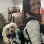 Shannon Elizabeth Instagram - Happy National PEANUT Day 2022! #peanutgallery
