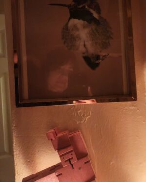 Shannyn Sossamon Instagram - Sweet cozy home details from night 🌙