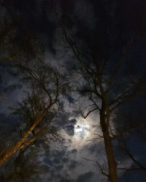 Shannyn Sossamon Instagram - outside in and blurry for you <3