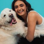 Shanti Priya Instagram - “Happy Birthday 🥳🥳🥳to the light of our lives, @whysodanny6 Danny boy! May your day be filled with joy, laughter, and endless love. Watching you grow is a gift beyond measure. Cheers to another year of amazing adventures together!”💫✨✨✨♥️ #shanthipriya #danny #celebration #goldenretriever #hbd