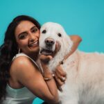Shanti Priya Instagram - “Happy Birthday 🥳🥳🥳to the light of our lives, @whysodanny6 Danny boy! May your day be filled with joy, laughter, and endless love. Watching you grow is a gift beyond measure. Cheers to another year of amazing adventures together!”💫✨✨✨♥️ #shanthipriya #danny #celebration #goldenretriever #hbd