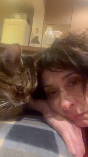Shappi Khorsandi Instagram - #shapcatchat
#catchat
#tabbycat
#catmum 
#catsofinstagram