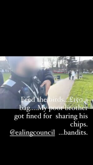 Shappi Khorsandi Instagram - He wasn't there to feed the birds, he just didn't have the heart to ignore a hungry creature. 
£150 would break a lot of people. no signs within reasonable sight. What villainous scoundrels @ealingcouncil are. Absolute tea leafs.
#feedthebirds
#daylightrobbery
#ealingbroadway 
#ealingfeeling 
#ealingcouncil