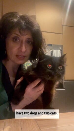 Shappi Khorsandi Instagram - Little Puss is an angel. She never complains and is so often overlooked in our house. She has been a shadow but her time to shine will come (also she's a boy. Sorry Puss) #catsofinstagram #blackcatsofinstagram #ragdoll