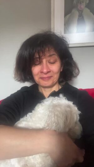 Shappi Khorsandi Instagram - Home after a few days away is glorious and emotional. My daughter ran down the stairs and met me as i ran up and we  held each other for ages just on the stairs. But at least she knew I WAS coming home. Dogs don't dogs just think they've been abandoned 💔#dogmum #dogsofinstagram #malteselovers