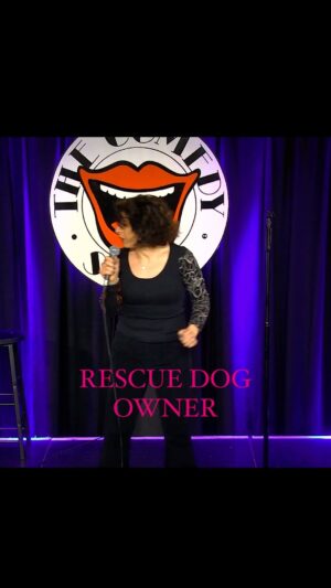 Shappi Khorsandi Instagram - Occurred to me to put actual clips of my stand-up here on insta. 
Please #share #like
#rescuedog 
#rescuedogsofinstagram 
#britishcomedy 
#standup 
#standupcomedy 
#comedian 
#comediansofinstagram 
#midlifewomen 
#comedystore