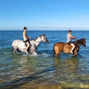 Sharni Layton Instagram - Happy Anniversary to the love of my life @sirnukesalot 💕  Happy Birthday to Queen Kaz @karinbrittlayton 👸AND HB to my soul sister @yogiandunicorn 🐎 💕  Last, but not least - happy new year to the rest of you mother f*kers. Wishing you a safe, healthy and bloody fabulous 2024 🌟