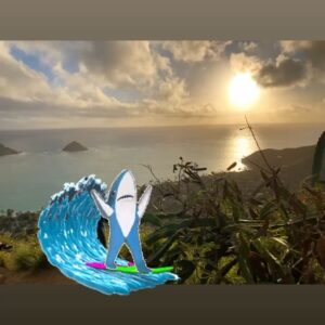 Sharon Case Instagram - Happy new year! 🥂2020!! hauʻoli makahiki hou 🌺🌸 ❤️ from Hawaii 🐬🐬