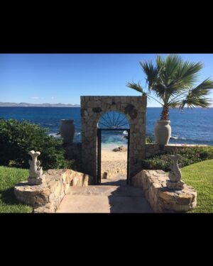 Sharon Case Instagram - The Sea Of Cortez is my favorite of all. Here are vids from my recent trip to Mexico. It was so nice to  have a warm beach vacation after a fun long year of working (and being in snowy NYC the week prior) ⛄️#happythanksgiving2018 #thankful ☮️