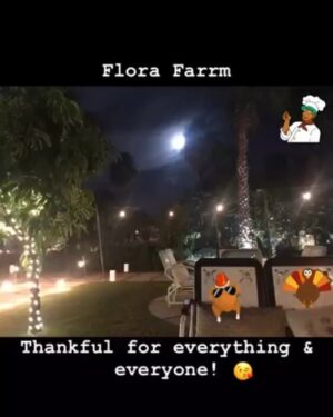 Sharon Case Instagram - The Sea Of Cortez is my favorite of all. Here are vids from my recent trip to Mexico. It was so nice to  have a warm beach vacation after a fun long year of working (and being in snowy NYC the week prior) ⛄️#happythanksgiving2018 #thankful ☮️
