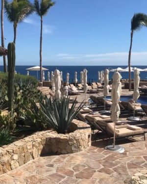 Sharon Case Instagram - The Sea Of Cortez is my favorite of all. Here are vids from my recent trip to Mexico. It was so nice to  have a warm beach vacation after a fun long year of working (and being in snowy NYC the week prior) ⛄️#happythanksgiving2018 #thankful ☮️