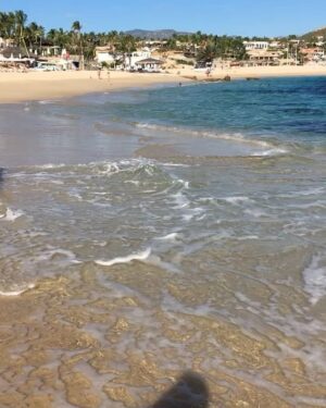 Sharon Case Instagram - The Sea Of Cortez is my favorite of all. Here are vids from my recent trip to Mexico. It was so nice to  have a warm beach vacation after a fun long year of working (and being in snowy NYC the week prior) ⛄️#happythanksgiving2018 #thankful ☮️