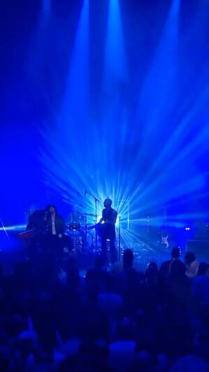 Sharon Van Etten Instagram - There‘s no place like the Sydney Opera House! It’s an honor to play for such a wonderful crowd and I feel incredibly lucky and grateful to have spent such a memorable night at the Concert Hall and to finally be able to share parts of this special show with you.

You can now watch my band’s performances of ‘Every Time the Sun Comes Up’, ‘Seventeen’ and ‘Mistakes’ from my latest album We’ve Been Going About This All Wrong on Stream. 

See you next time! Link in bio.