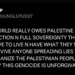 Shayna McHayle Instagram - israeli government with the warcrimes: cutting supplies, water, food, electricity for millions of ppl, bombing civilian homes, hospitals, ambulances, everything… its a genocide and you can’t justify that. i pray hope and believe Palestine will be rise and be free 🇵🇸💜🙏🏾 🇵🇸💜🙏🏾