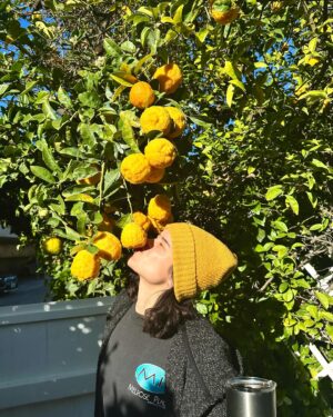 Shelby Wulfert Instagram - February was Selena’s 1st birthday party 🎂 the Japanese magnolias blossoming as I impatiently awaited spring 🌸 watching the superbowl with my favorite boys 🏈 Galentine’s book club 💘 catching Carson & Julana cutting it up on the dance floor at his birthday gathering 🕺🏽 sunny days with Brooke ✨ snuggles with my sweet Lando boy 🐕‍🦺 and an abundance of lemons with Vic 🍋