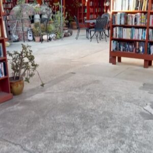 Shelby Simmons Instagram - Found a reading oasis in Ojai ✨