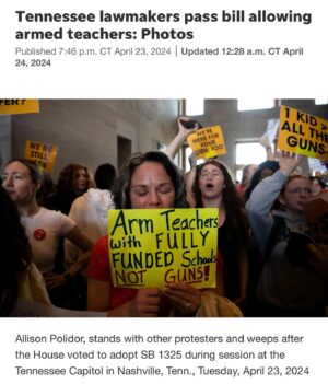 Sheryl Crow Instagram - Sad but mostly infuriating that the elected public servants in Tennessee’s congress did not trust the people of Tennessee to vote on the armed teacher issue. I feel certain they know it would not pass. 

I cannot imagine sending my kids to a school where teachers are armed. And I would be very curious to know how many of these congressmen have kids in public schools. And as a former teacher, I find it insulting that you have not consulted teachers in Tennessee as to whether they would choose to be armed in the classroom.

Shame on you, all you government representatives who are beholden to the NRA and other organizations who pay for your elections.