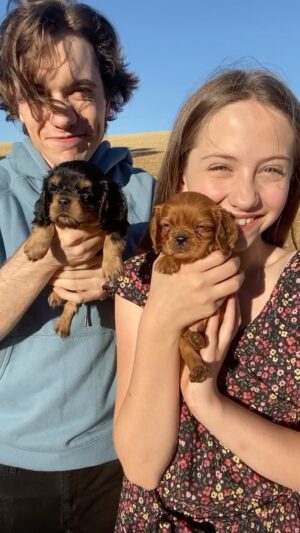 Shiloh Nelson Instagram - The last puppy though 😍 😭
w/ @iamelijahnelson