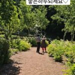 Shin Ae-ra Instagram - 산속에서 눈을 떴어요 어젯밤엔 별을 봤구요 도시에서 놓친 것들 만끽하고있네요 여기 강추요 #내마음의외갓집 자세하게 보고싶으시면 몇주만기다려주세요^^