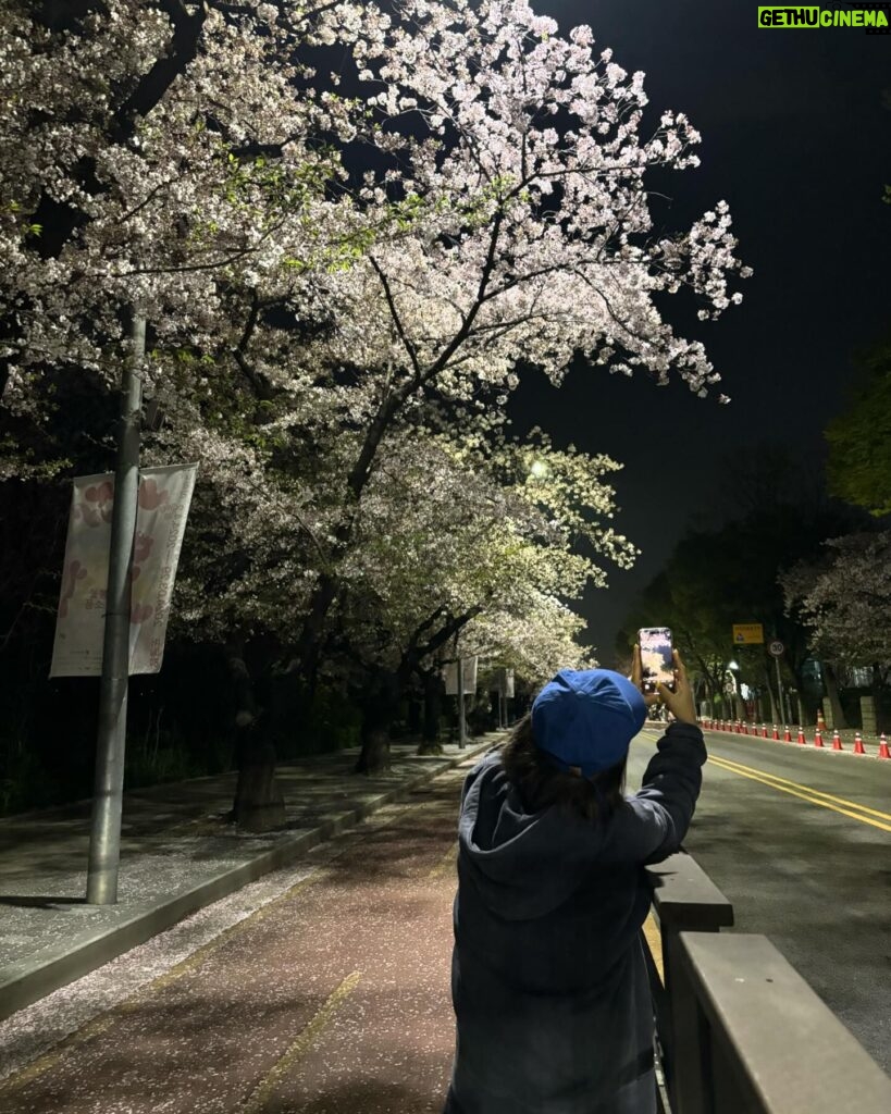 Shin Bong-sun Instagram - 봄…. 밤…… 벚꽃🫶