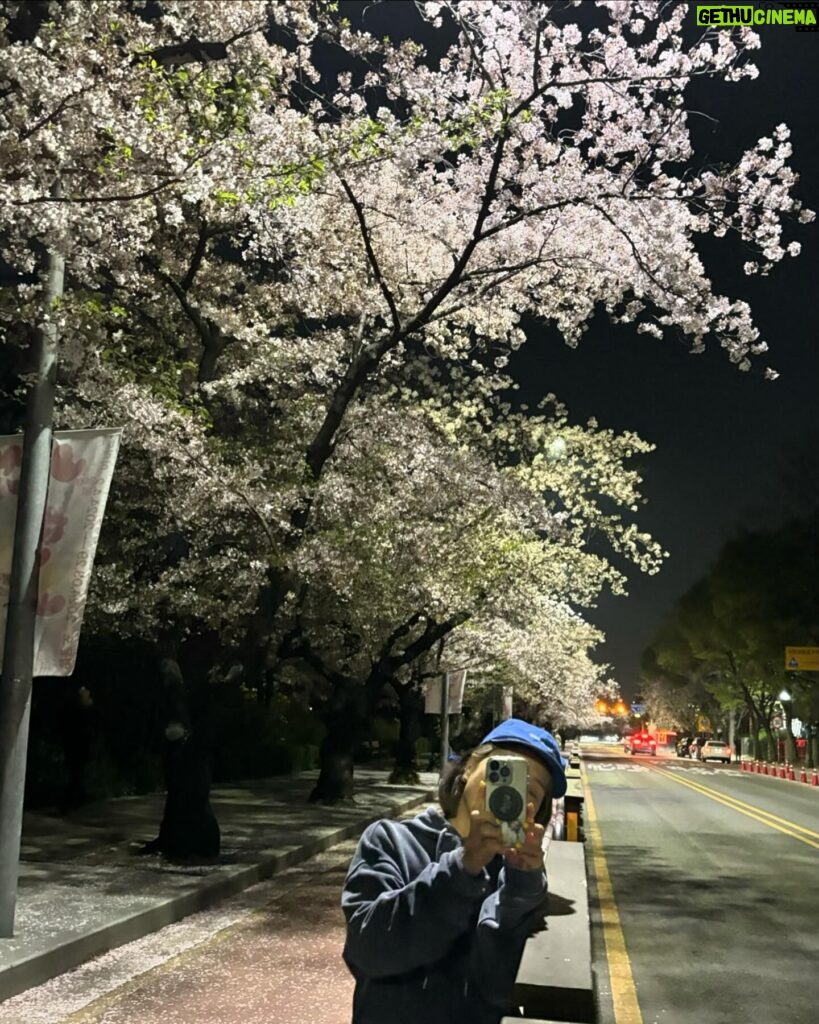 Shin Bong-sun Instagram - 봄…. 밤…… 벚꽃🫶