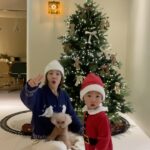 Shin Da-eun Instagram - 우리들의 크리스마스트리 🎄 올해는 우리 봄이 쏙 빼닮은 곰돌이🧸오너먼트로 🤍 기차🚂타고 우리집 아기산타🎅🏻와 봄이🐻데리고 호그와트로 떠나보렵니다 🎵 #신난다은홈🏠 #크리스마스트리🎄