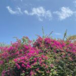 Shin Do-hyun Instagram - p a r a d i s e ~ 🌺