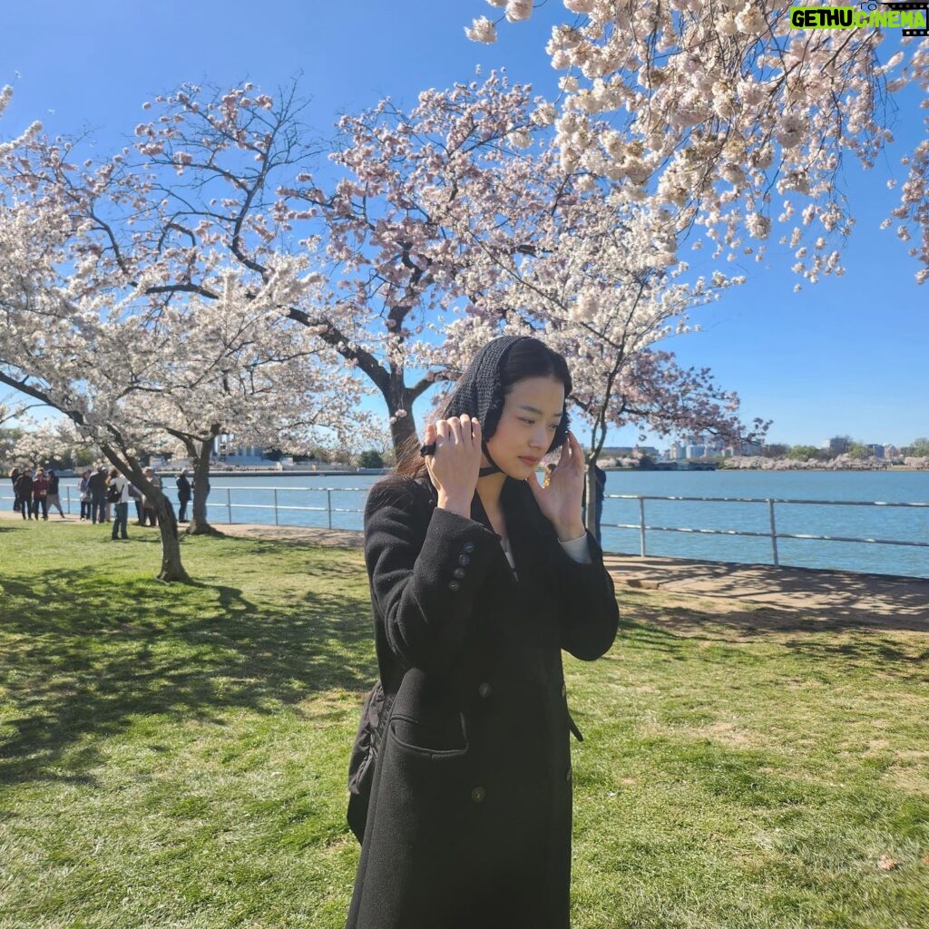 Shin Do-hyun Instagram - 여의도 한강 공원 아님 석촌호수 아님 수학여행 온 거 아님