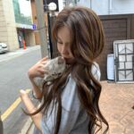 Shin Hye-jeong Instagram - 사랑해시태그 소라 아기냥이 스타 별이🐾 @sua_cxx 채아가 찍어준 소라❤️ #사랑해시태그