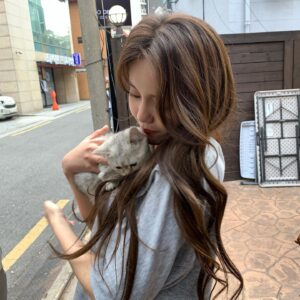 Shin Hye-jeong Instagram - 사랑해시태그 소라
아기냥이 스타 별이🐾
@sua_cxx 채아가 찍어준 소라❤️
#사랑해시태그