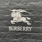Shin Hyun-ji Instagram - @burberry #Burberry #ad