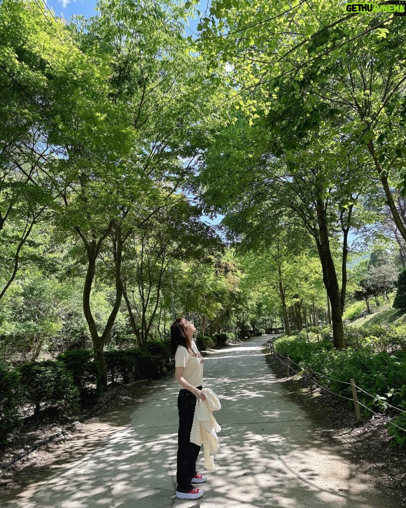 Shin Ji Instagram - 🍃💚🍃