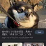 Shioli Kutsuna Instagram -