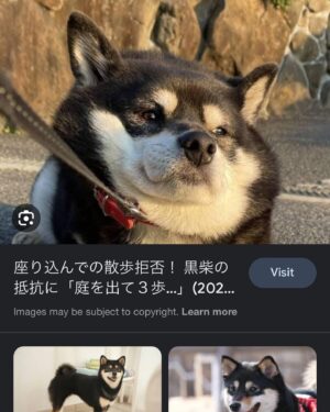 Shioli Kutsuna Instagram - 
