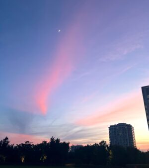 Shiori Sato Instagram - 綺麗なものをたくさんみた日🪻🏵️🌇👟