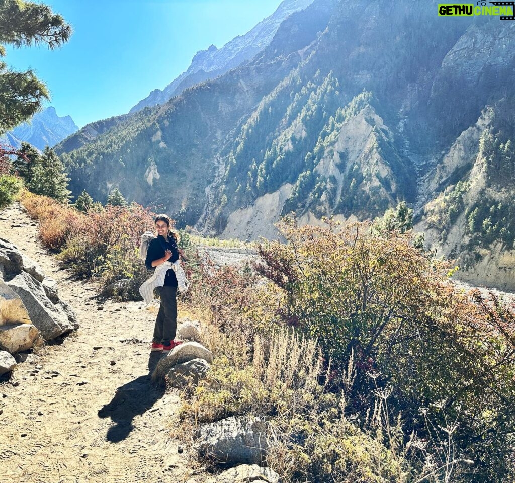 Shivani Tomar Instagram - #gangotri #gomukh #trekking