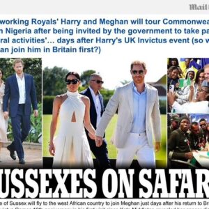 Shola Mos-Shogbamimu Instagram - 🙄Safari in Nigeria??! This isn’t lazy ignorance. It’s plain racist ideology. The idiots who think Africa is a Country NOT a Continent are the same who think Africa is synonymous with safari & are from the school of  thought that ‘African nations are tribes”. Same fools label 50million  Yorubas, 35million  Igbos as tribes but Scotland with 5million  & Finland with 5million  as nations. The ideology of Whiteness is a sickness.