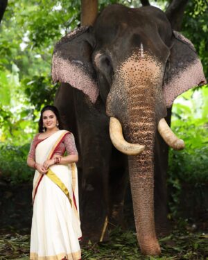 Shreegopika Chandran Instagram - ഓർമ്മകളുടെ പൂക്കാലം വിരിയിക്കാൻ സമ്പത്സമൃതിയുടെ ഓണനാളുകൾ വരവായി. എല്ലാവർക്കും ഓണാശംസകൾ!"🌼🌸

Pc @roshan_mathew_ 
Costume @zaraglamzfit

Special Thanks @kishoremannadiyar @dr.premnarayanan

#onam #kerala #onamcelebration #keralagram #onamspecial #happyonam #india #malayali #instagram #keralasaree #keralatourism #mallu #photography #malayalam #kochi #keralafood #keralagodsowncountry #onamsaree #festival #love #saree #onamfestival #instagood #onamvibes #traditional #bhfyp #onlineshopping #keralam #fashion #keralaattraction