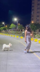 Shruthi Selvam Instagram - Life with her ♥️ @lilly_myworld . Ps: My everything🤍 . #shruthiselvam #unakkuthan #unakkuthaan #pet #myypet #petlover #ootd #reelsinstagram #reelitfeelit
