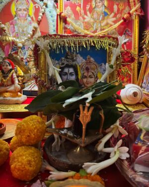 Shruti Kanwar Instagram - May your bond of love and companionship grow stronger. 
Happy Teej!🪔