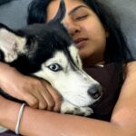 Shruti Reddy Instagram – My baby cute 🐺NALA 🤍

.
.
.
.
.

#husky #nala #dogsofinstagram