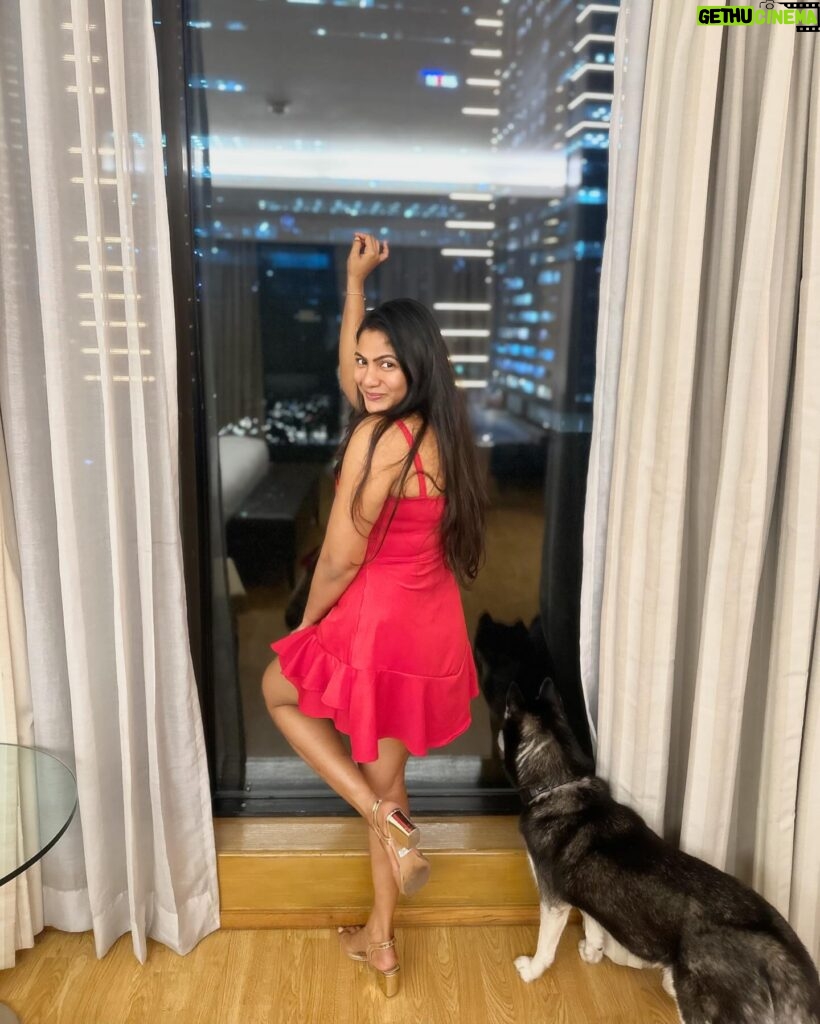 Shruti Reddy Instagram - 🎂💫✨ #birthdaygirl #birthday #love #husky #lifesgood