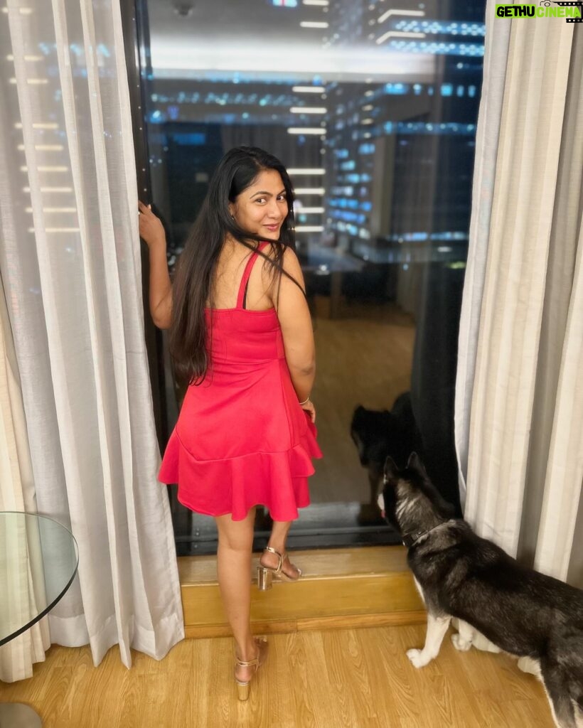 Shruti Reddy Instagram - 🎂💫✨ #birthdaygirl #birthday #love #husky #lifesgood